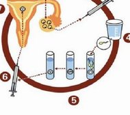 金华三代试管婴儿生孩子医院排名，附试管助孕机构名单